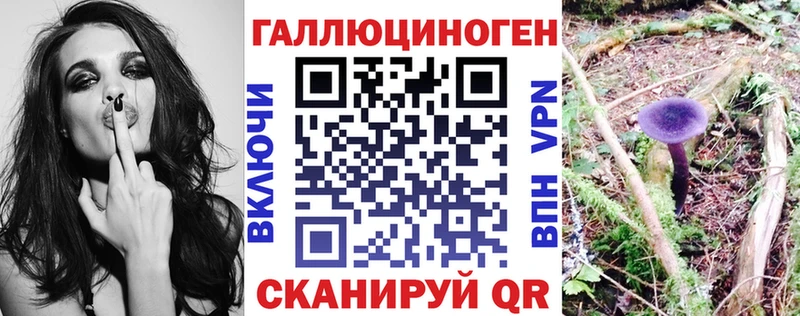 Галлюциногенные грибы Psilocybe  Купить где  Карабаново 